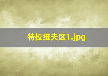 特拉维夫区