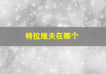 特拉维夫在哪个