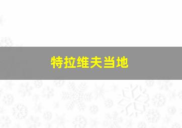 特拉维夫当地