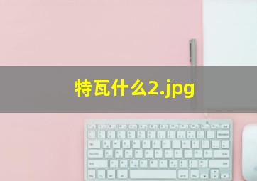 特瓦什么