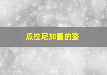 瓜拉尼加蟹的螯