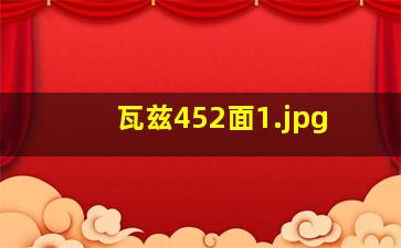 瓦兹452面