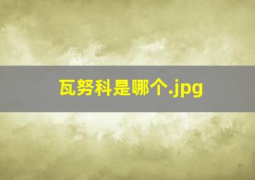 瓦努科是哪个