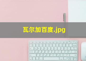 瓦尔加百度