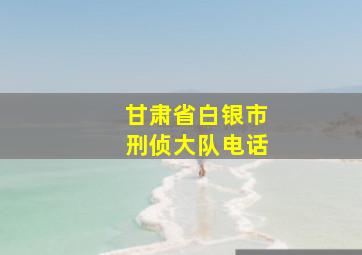 甘肃省白银市刑侦大队电话