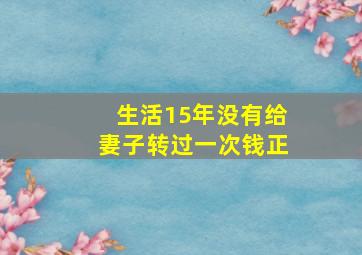 生活15年没有给妻子转过一次钱正