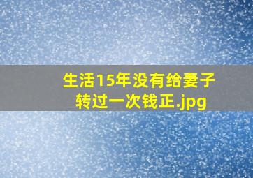 生活15年没有给妻子转过一次钱正