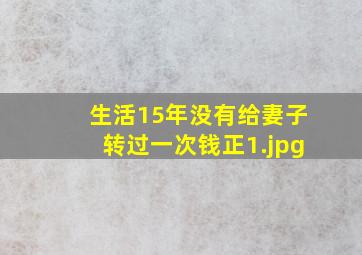生活15年没有给妻子转过一次钱正