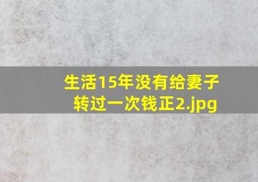 生活15年没有给妻子转过一次钱正