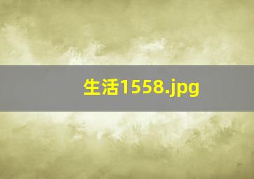 生活1558
