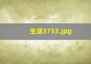 生活3753