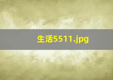 生活5511