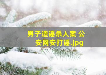 男子造谣杀人案 公安网安打谣