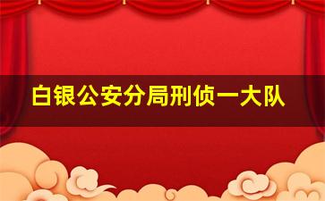 白银公安分局刑侦一大队