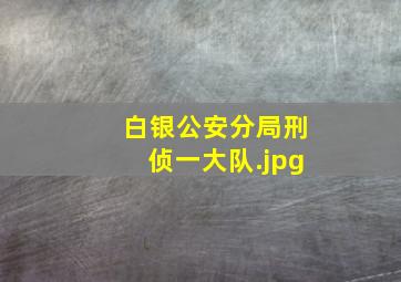 白银公安分局刑侦一大队