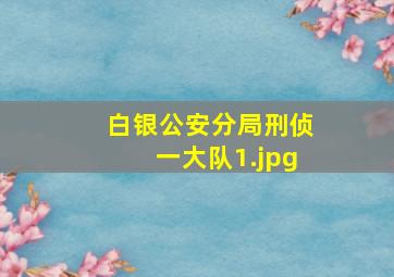 白银公安分局刑侦一大队