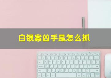 白银案凶手是怎么抓