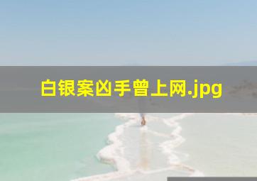白银案凶手曾上网