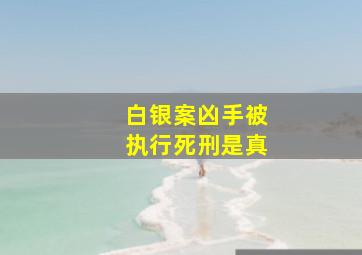白银案凶手被执行死刑是真