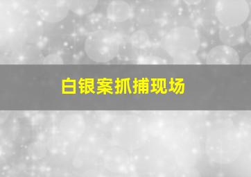 白银案抓捕现场