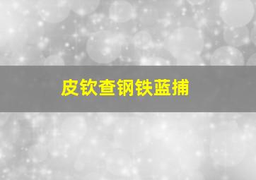皮钦查钢铁蓝捕