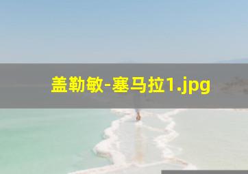 盖勒敏-塞马拉