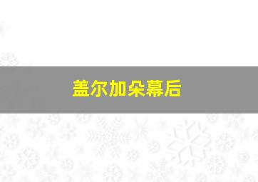 盖尔加朵幕后