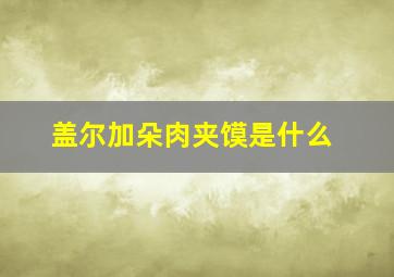 盖尔加朵肉夹馍是什么
