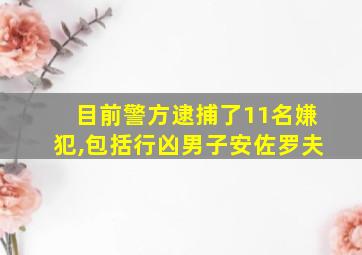 目前警方逮捕了11名嫌犯,包括行凶男子安佐罗夫