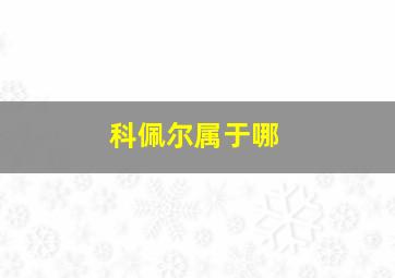科佩尔属于哪