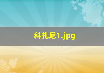 科扎尼