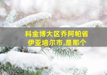 科金博大区乔阿帕省伊亚培尔市,是那个