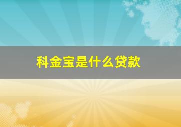 科金宝是什么贷款