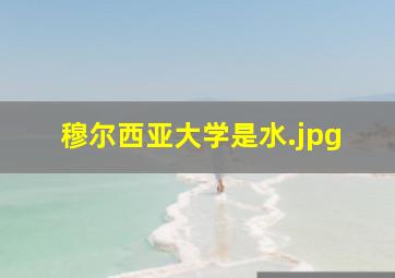 穆尔西亚大学是水