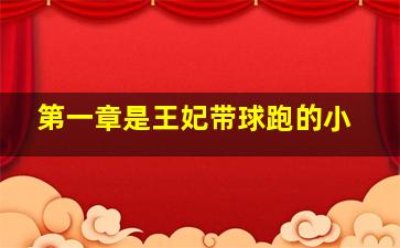 第一章是王妃带球跑的小