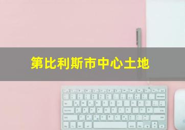 第比利斯市中心土地