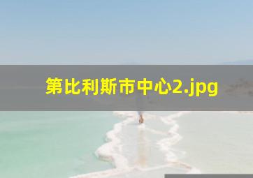 第比利斯市中心