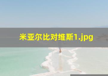 米亚尔比对维斯