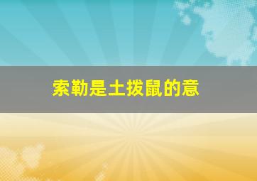 索勒是土拨鼠的意