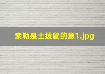 索勒是土拨鼠的意