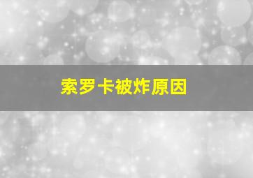 索罗卡被炸原因
