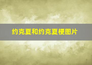 约克夏和约克夏梗图片