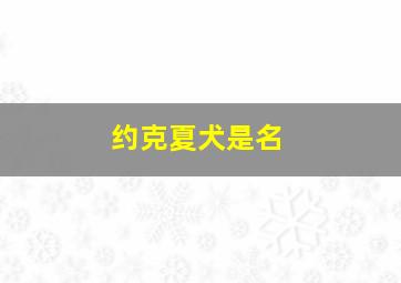 约克夏犬是名