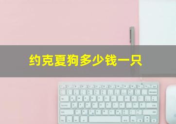 约克夏狗多少钱一只