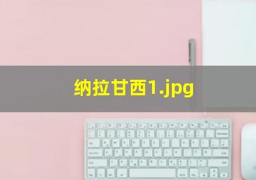 纳拉甘西