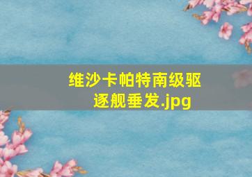 维沙卡帕特南级驱逐舰垂发