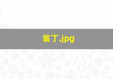 翁丁