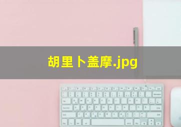 胡里卜盖摩
