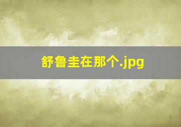 舒鲁圭在那个