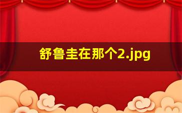 舒鲁圭在那个